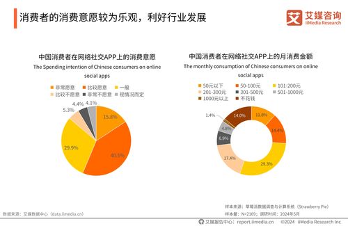 2024-2025年中国婚恋社交服务市场研究报告