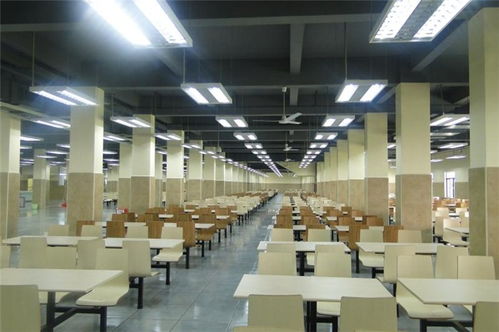 禅城专业工厂食堂承包 一站式信息咨询服务，助力企业高效餐饮管理