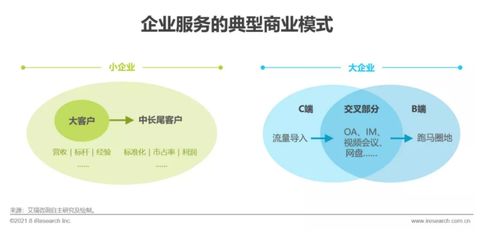 《2021年中国企业服务研究报告》发布 信息咨询服务引领企业数字化转型新篇章